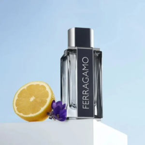 Nước Hoa Nam Salvatore Ferragamo Ferragamo Pour Homme EDT