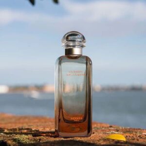 Nước Hoa Unisex Hermes Un Jardin Sur La Lagune EDT - Image 7
